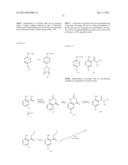 MACROCYCLIC KINASE INHIBITORS diagram and image