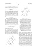 MACROCYCLIC KINASE INHIBITORS diagram and image