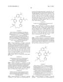 MACROCYCLIC KINASE INHIBITORS diagram and image