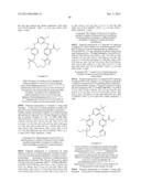 MACROCYCLIC KINASE INHIBITORS diagram and image