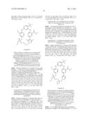 MACROCYCLIC KINASE INHIBITORS diagram and image