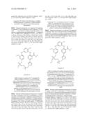 MACROCYCLIC KINASE INHIBITORS diagram and image