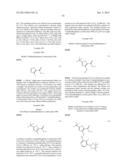 PYRIDAZINONES, METHOD OF MAKING, AND METHOD OF USE THEREOF diagram and image