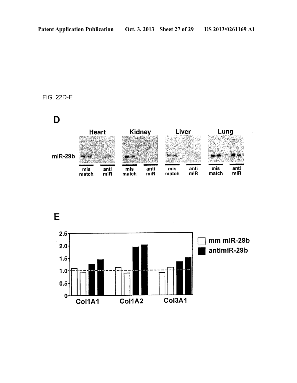 Micro-RNA Family That Modulates Fibrosis and Uses Thereof - diagram, schematic, and image 28