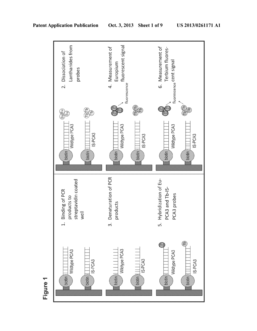 PROSTATE CANCER PROGNOSTIC COMPOSITIONS AND KITS - diagram, schematic, and image 02