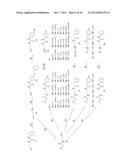 PHENOXYPROPANOL DERIVATIVES AND THEIR USE IN TREATING CARDIAC AND     CARDIOVASCULAR DISEASES diagram and image