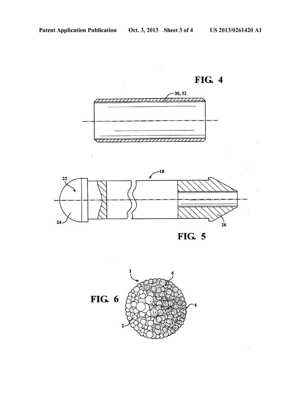 System and method for non-invasive diagnostic of mammals - diagram, schematic, and image 04