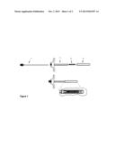 Therapeutic Material Delivery System for Tissue Voids and Cannulated     Implants diagram and image