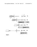 Therapeutic Material Delivery System for Tissue Voids and Cannulated     Implants diagram and image