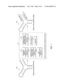 SYSTEM AND METHOD FOR DETERMINING A NUCLEOTIDE SEQUENCE diagram and image