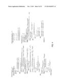 SYSTEM AND METHOD FOR DETERMINING A NUCLEOTIDE SEQUENCE diagram and image