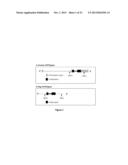 MARKERS FOR JOINT DISPLASIA, OSTEOARTHRITIS AND CONDITIONS SECONDARY     THERETO diagram and image