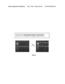 MARKERS FOR JOINT DISPLASIA, OSTEOARTHRITIS AND CONDITIONS SECONDARY     THERETO diagram and image