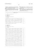 MARKERS FOR JOINT DISPLASIA, OSTEOARTHRITIS AND CONDITIONS SECONDARY     THERETO diagram and image