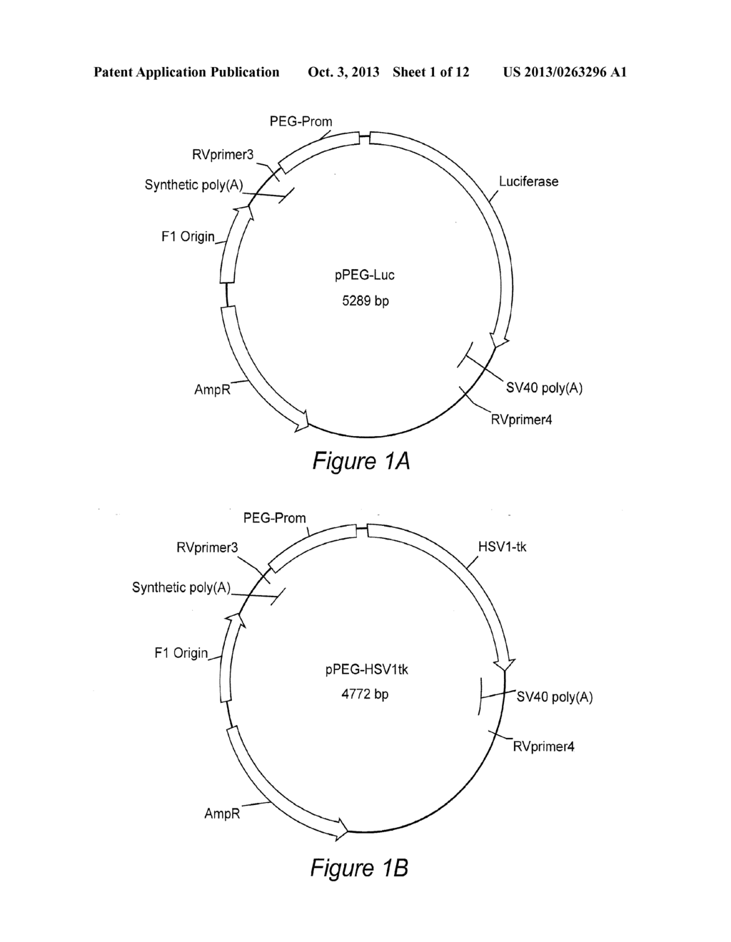 CANCER IMAGING WITH THERAPY: THERANOSTICS - diagram, schematic, and image 02