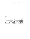 MEMBRANE PHASE ELECTRODE USING PRINTING AND BIO-MOLECULE DETECTION USING     SAME diagram and image