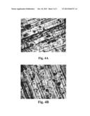 METHOD OF MANUFACTURING A TRACK MEMBRANE diagram and image