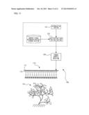 LIGHT EMITTING DEVICE, LED LIGHT SOURCE FOR PLANT CULTIVATION, AND PLANT     FACTORY diagram and image