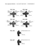 HAPTIC INFORMATION PRESENTATION SYSTEM AND METHOD diagram and image