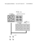 CHARGED PARTICLE BEAM APPARATUS diagram and image