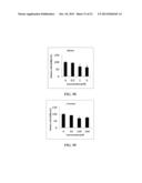 METHODS FOR IMPROVED WOUND CLOSURE EMPLOYING OLIVAMINE AND HUMAN UMBILICAL     VEIN ENDOTHELIAL CELLS diagram and image