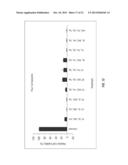 METHODS FOR IMPROVED WOUND CLOSURE EMPLOYING OLIVAMINE AND HUMAN UMBILICAL     VEIN ENDOTHELIAL CELLS diagram and image