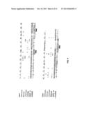 Humanized Anti-CD22 Antibodies And Their Use In Treatment Of Oncology,     Transplantation And Autoimmune Disease diagram and image