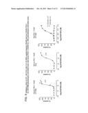 METHODS OF INHIBITING FIBROSIS USING ANTI-PAI-1 ANTIBODIES diagram and image