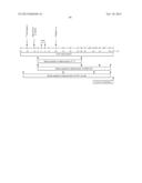 METHODS OF INHIBITING FIBROSIS USING ANTI-PAI-1 ANTIBODIES diagram and image