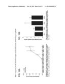 METHODS OF INHIBITING FIBROSIS USING ANTI-PAI-1 ANTIBODIES diagram and image