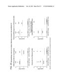 METHODS OF INHIBITING FIBROSIS USING ANTI-PAI-1 ANTIBODIES diagram and image