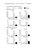 METHODS OF INHIBITING FIBROSIS USING ANTI-PAI-1 ANTIBODIES diagram and image