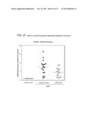 METHODS OF INHIBITING FIBROSIS USING ANTI-PAI-1 ANTIBODIES diagram and image