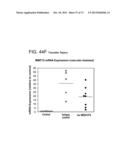 METHODS OF INHIBITING FIBROSIS USING ANTI-PAI-1 ANTIBODIES diagram and image