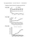 METHODS OF INHIBITING FIBROSIS USING ANTI-PAI-1 ANTIBODIES diagram and image