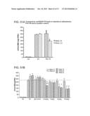 METHODS OF INHIBITING FIBROSIS USING ANTI-PAI-1 ANTIBODIES diagram and image