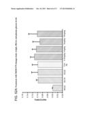 METHODS OF INHIBITING FIBROSIS USING ANTI-PAI-1 ANTIBODIES diagram and image