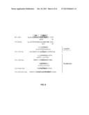 RECOMBINANT VIRAL VECTORS diagram and image