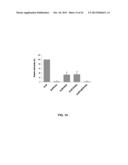 RECOMBINANT VIRAL VECTORS diagram and image