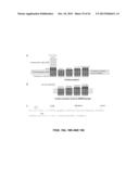 RECOMBINANT VIRAL VECTORS diagram and image