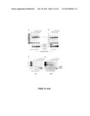 RECOMBINANT VIRAL VECTORS diagram and image