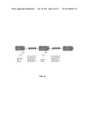 RECOMBINANT VIRAL VECTORS diagram and image