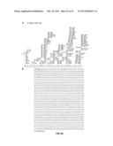 RECOMBINANT VIRAL VECTORS diagram and image