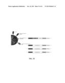 RECOMBINANT VIRAL VECTORS diagram and image