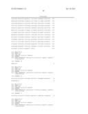 RECOMBINANT VIRAL VECTORS diagram and image