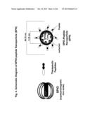 BIOACTIVE FUS1 PEPTIDES AND NANOPARTICLE-POLYPEPTIDE COMPLEXES diagram and image