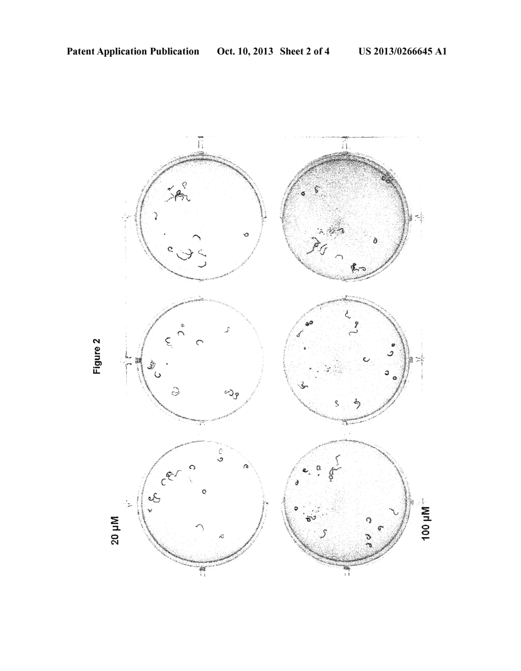 DERIVATIVES OF STEROID BENZYLAMINES, HAVING AN ANTIPARASITIC     ANTIBACTERIAL, ANTIMYCOTIC AND/OR ANTIVIRAL ACTION - diagram, schematic, and image 03