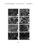 FACILE METHOD FOR CROSSLINKING AND INCORPORATING BIOACTIVE MOLECULES INTO     ELECTROSPUN FIBER SCAFFOLDS diagram and image