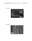 CARBON-BASED FINE STRUCTURE ARRAY, AGGREGATE OF CARBON-BASED FINE     STRUCTURES, USE THEREOF AND METHOD FOR PREPARATION THEREOF diagram and image