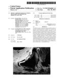 HIGHLY CORROSION-RESISTANT POROUS METAL BODY AND METHOD FOR PRODUCING THE     SAME diagram and image